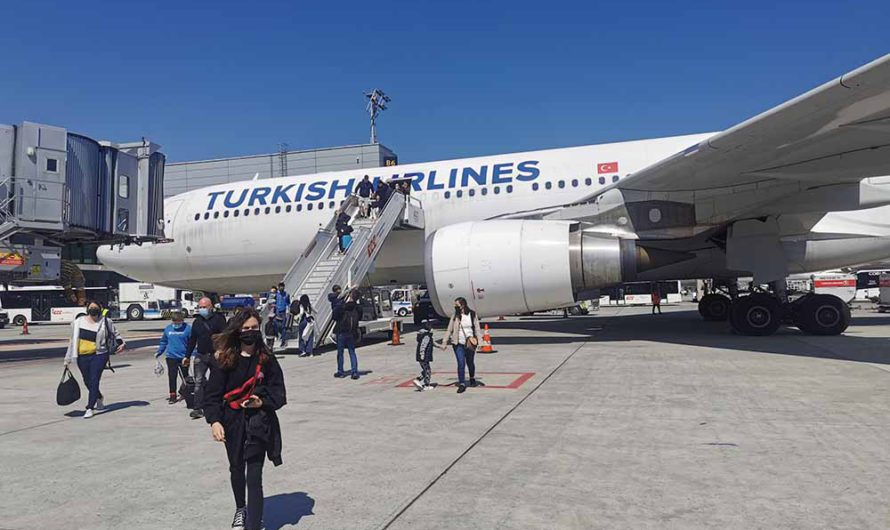 Turkish Airlines. Турецкие самолеты – мое открытие этого года